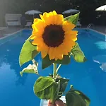 Hotel Capitol - Bianchi San Mauro Mare