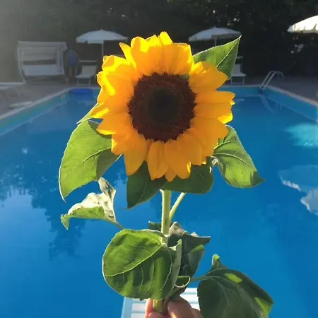 ホテル Capitol San Mauro Mare