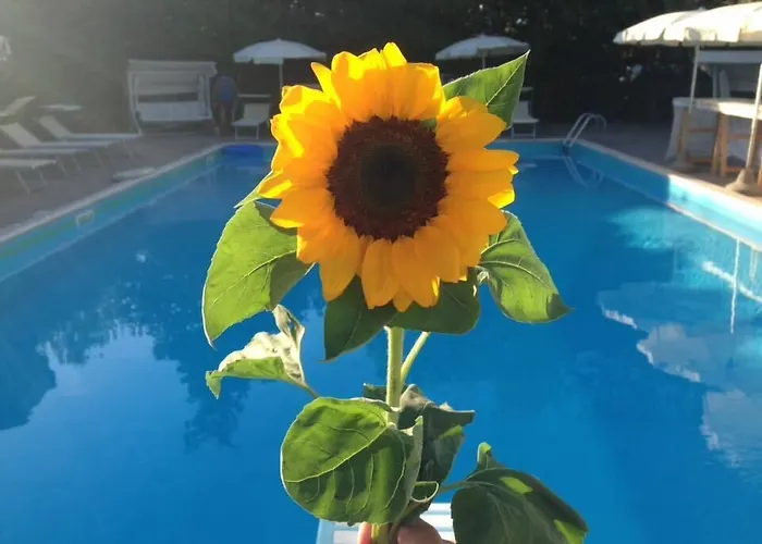 Hotel Capitol - Bianchi San Mauro Mare